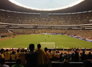 胜独家揭秘,哥伦甲强势,解析,万博体育官方网站,体育博彩,万博体育平台,体育投注,体育赛事投注